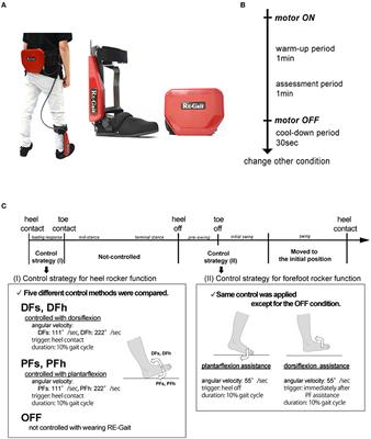 Robotic ankle control can provide appropriate assistance throughout the gait cycle in healthy adults